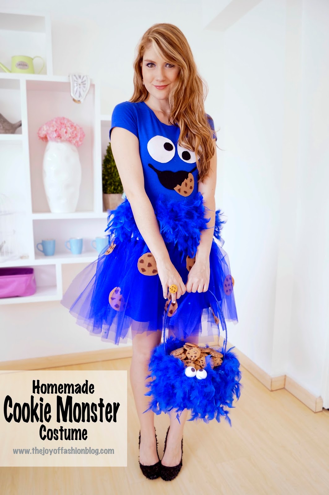 Homemade Cookie Monster Costume