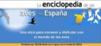 Enciclopedia de las Aves de España