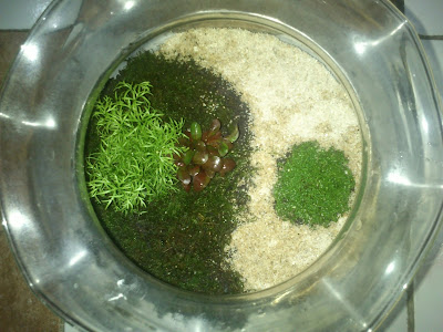 akuarium kecil