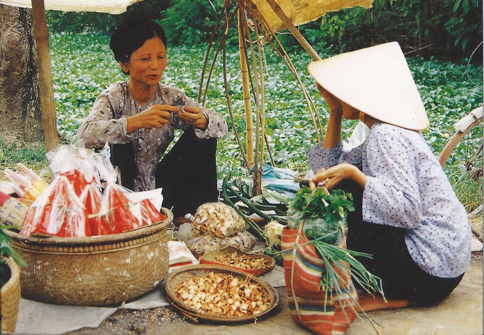 Сколько вьетнамцев. Быт Вьетнама. Вьетнам традиции. Культура Вьетнама. Традиционное занятие вьетнамцев.