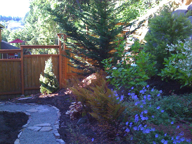 her lovely nest.: the meandering path.