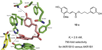 Potent CAPE derivative (10C) that blocks PAK1 by inhibting directly AKR1B10