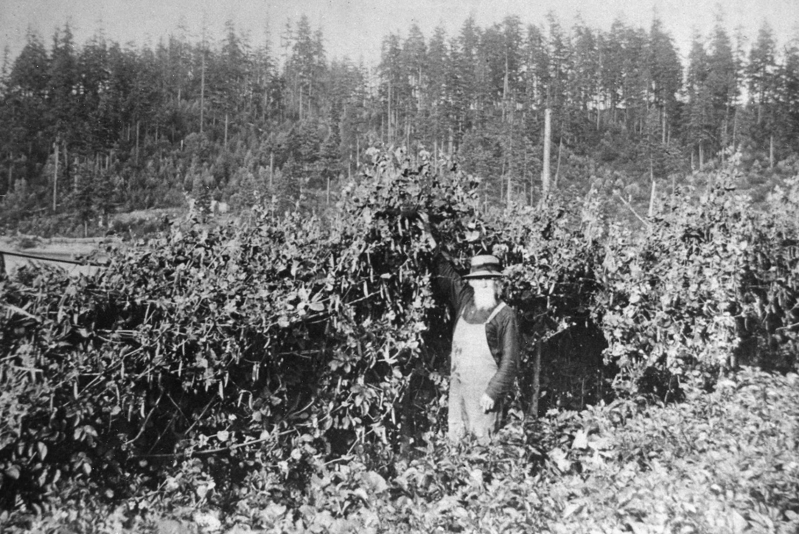 Harbor History Museum Blog Wilkinson Farm Park