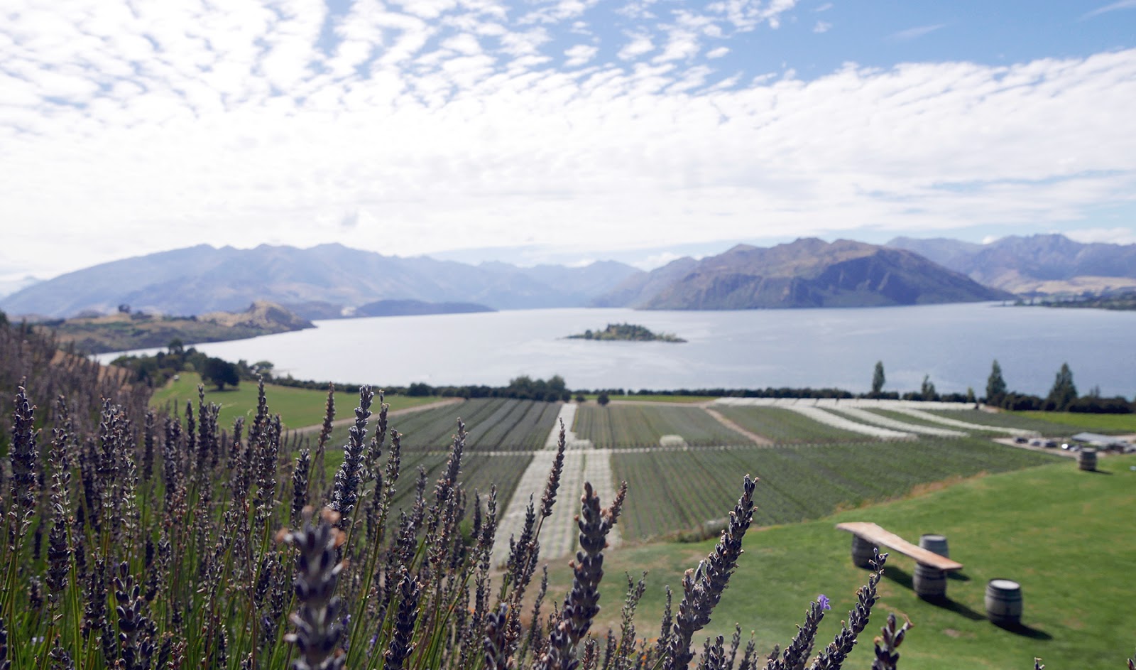 Euriental | luxury travel & style | Wanaka Rippon Vineyard, New Zealand