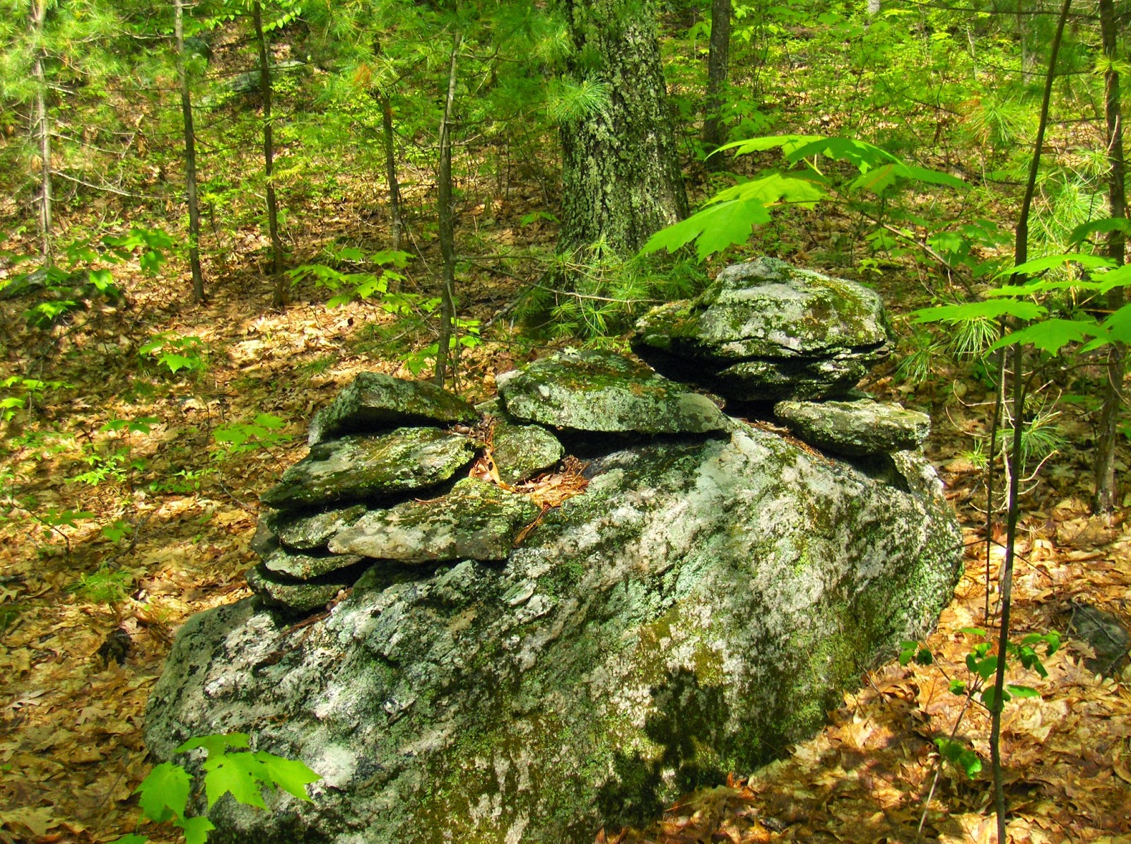 Rock Piles Near Farley Rd Hollis NH