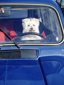Funny Animal Pictures funny photo gallery, funny stuff, funny animal pictures