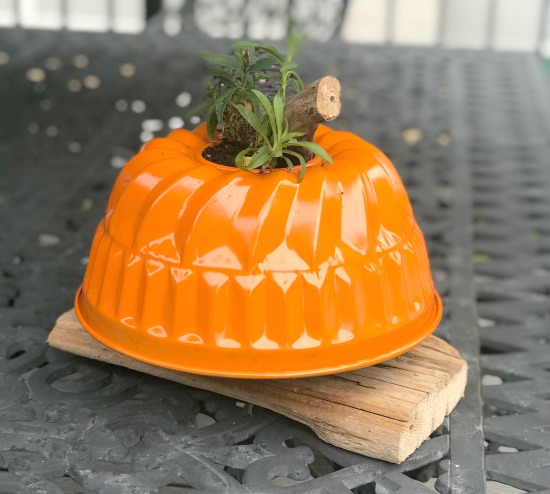 Repurposed Pumpkin Planter