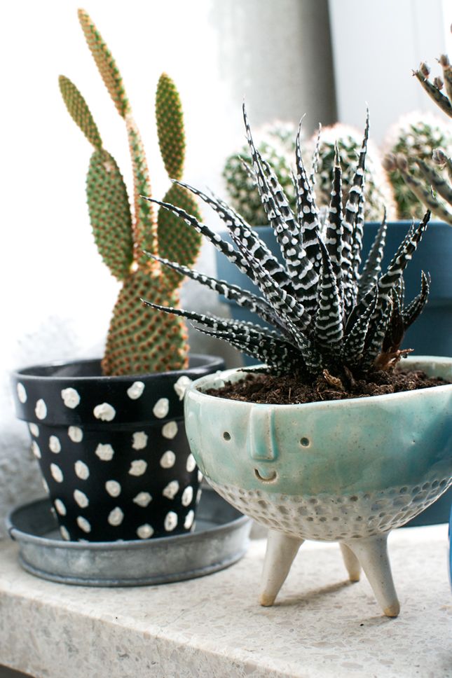 Ellie &amp; Co., Inc • Secret Brighton blog Home Inspo