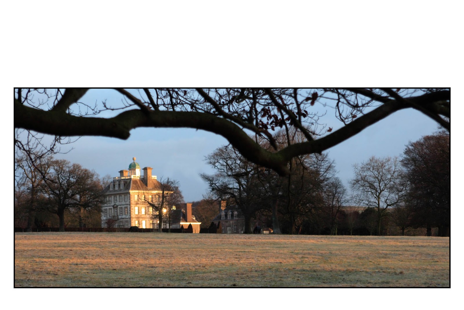 Historical And Regency Romance UK Great Oaks From Little Acorns