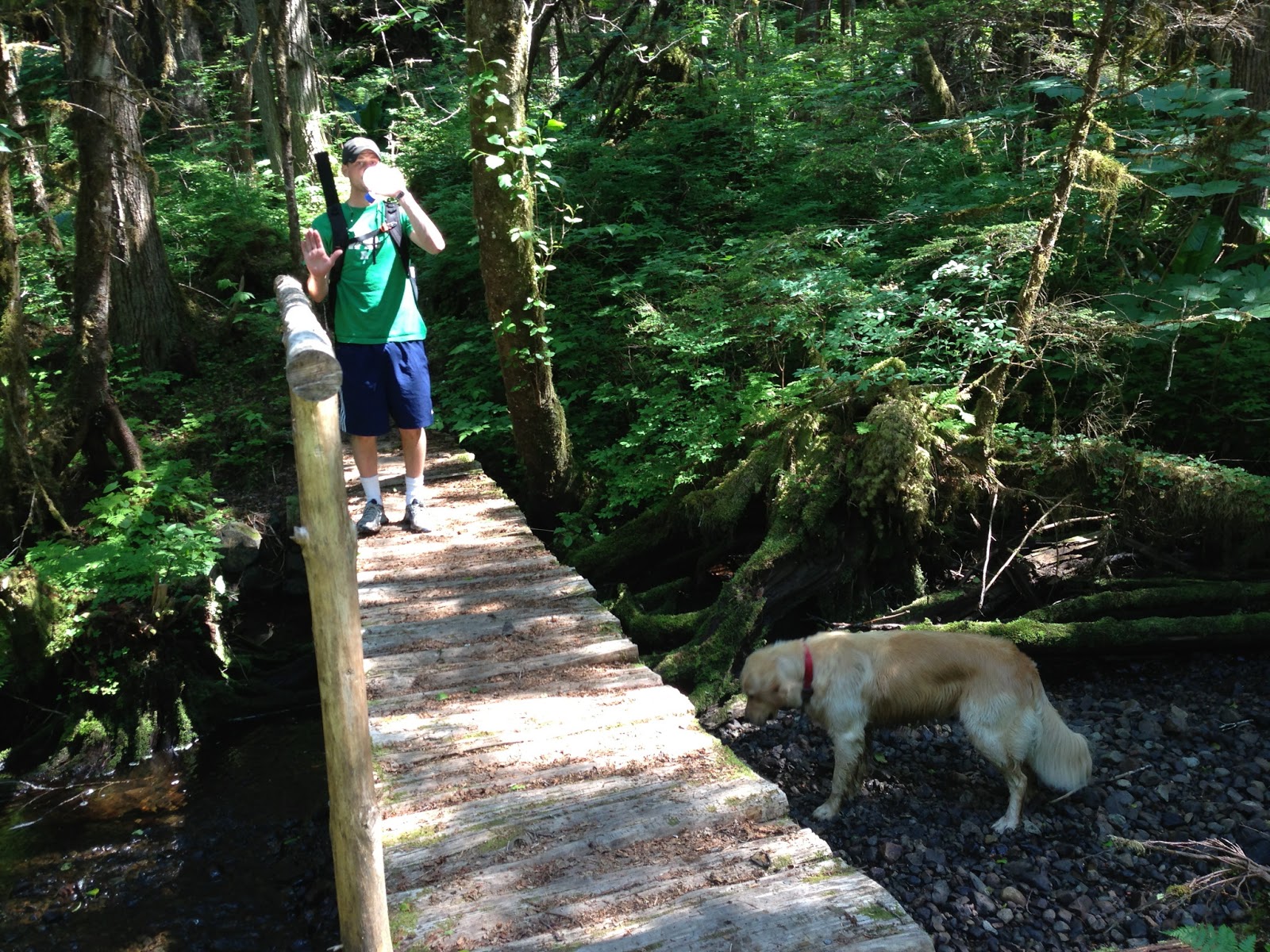 Juneau Hikes Quest