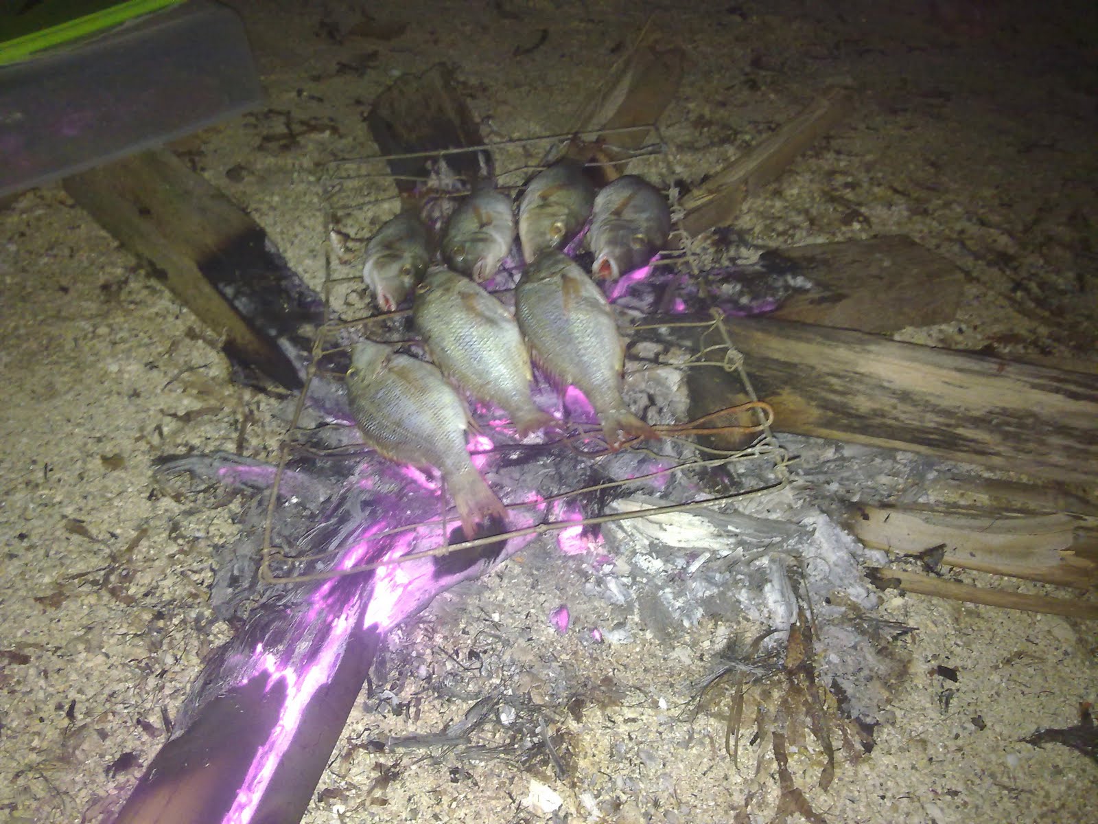 Byahe Tayo!: Pinahon Island
