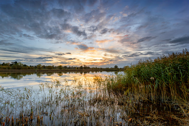 Hinchingbrooke Country Park sunset clouds reflected in a lake with reeds in the forground