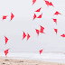 "The San Diego Studies" | by Cy Kuckenbaker