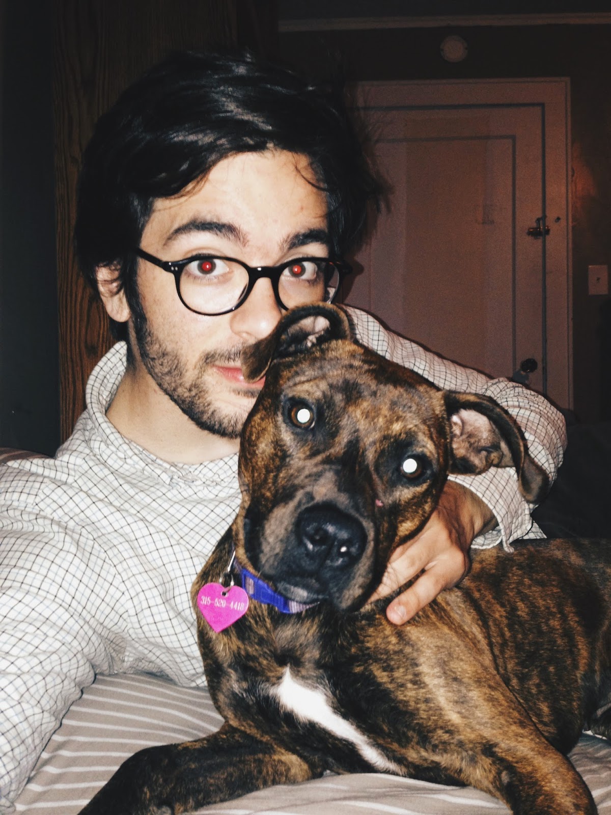 Jason The Dog Walker and Company. Our Team