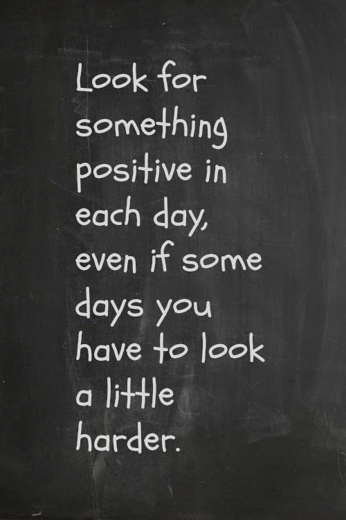 Pine Cones and Acorns: July 2014