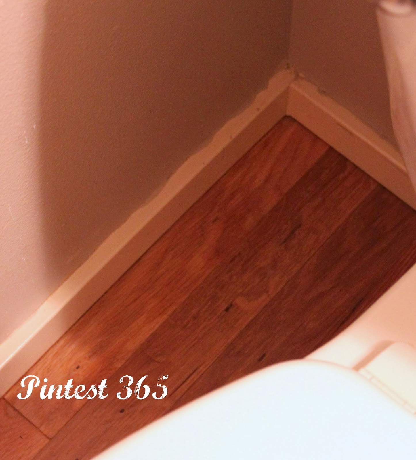 Pintest 365. Day 8 Removing Paint from Hardwood Floors (success).