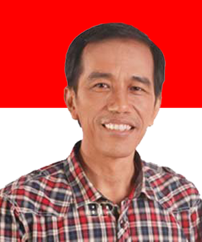 H. Ir. Joko Widodo (Jokowi)