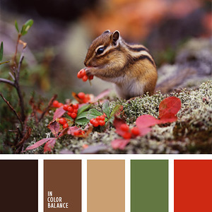 Животные - - гармоничные палитры в 5 цветов