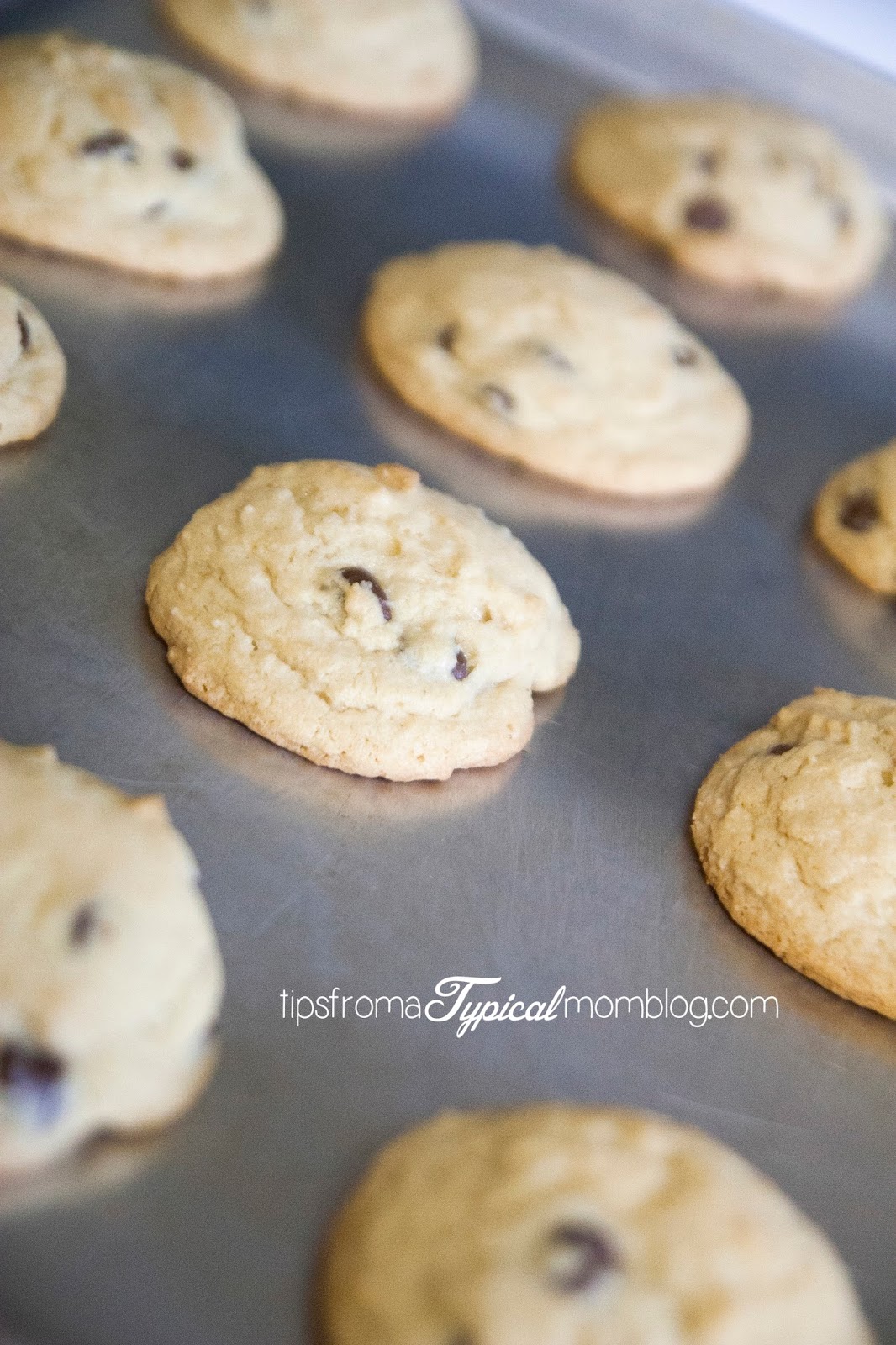 Perfect Chocolate Chip Cookie Recipe &amp; Math Activity~ If You Give a
