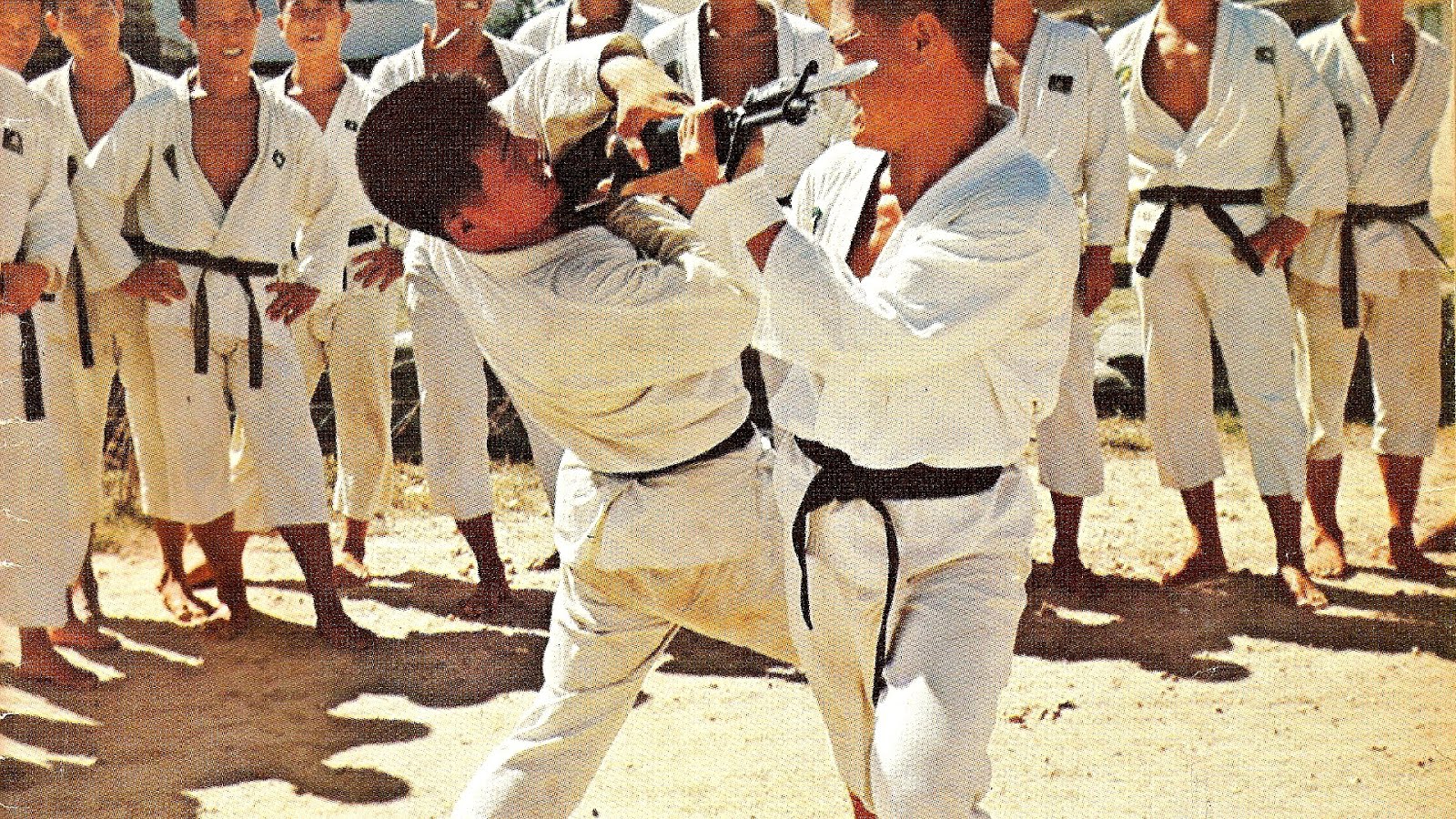 Korean Karate Belt Order Karate Choices