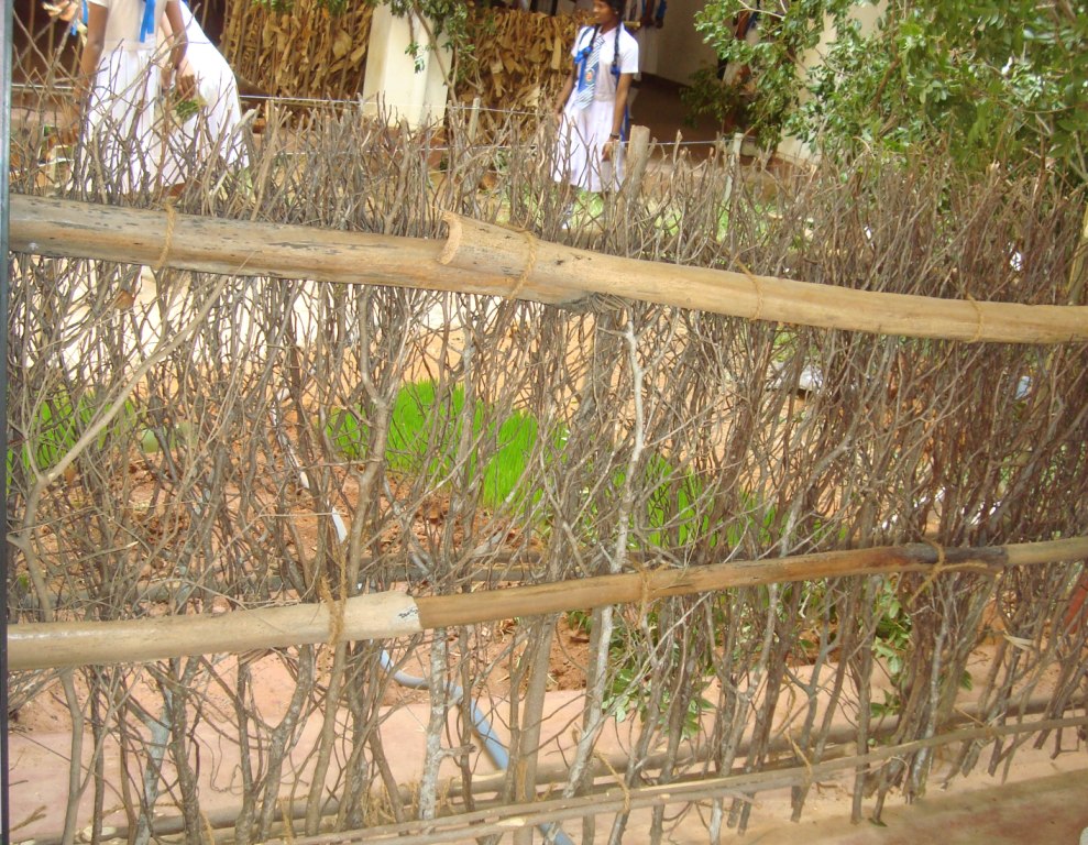 INSPIRED TREASURES: 2011