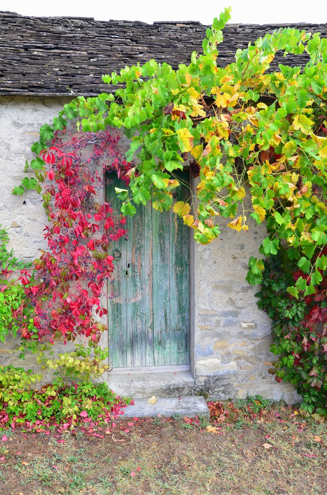 knocking on fashion´s door DROPTOP