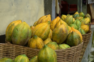 dieng plateau fruit