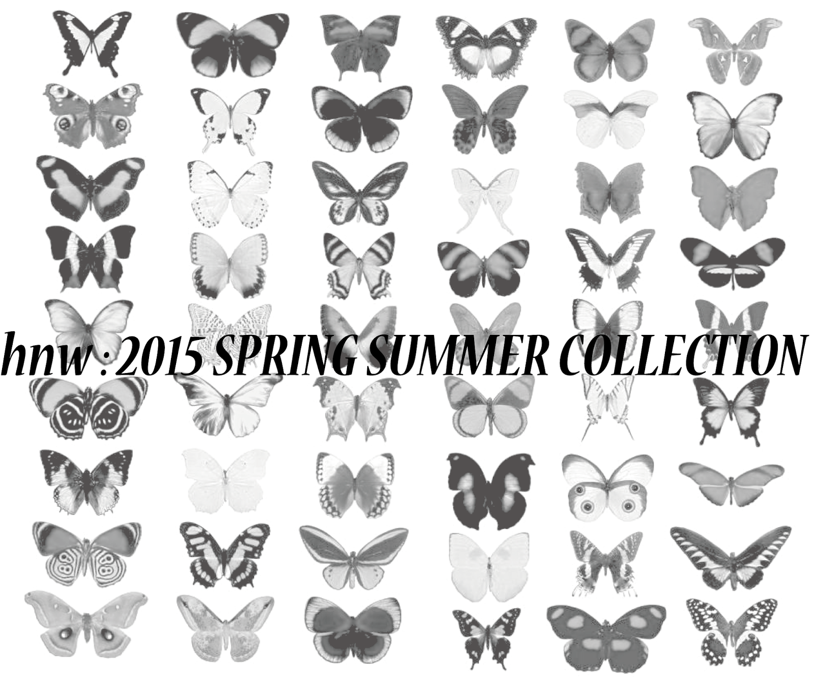 hnw blog: hnw 2015 Spring Summer Collection Preview.