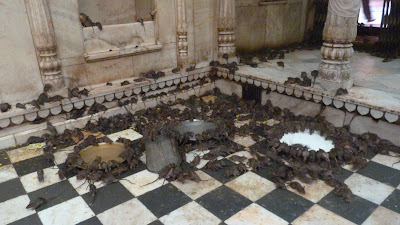 Día 3. De Nawalgarh a Bikaner. - Indiaren ametsa (El sueño de India) (14)