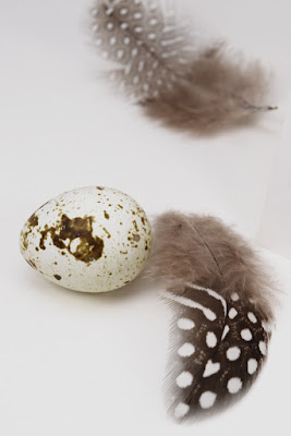 Und noch eine Eierkarte… | Sticken & Papier