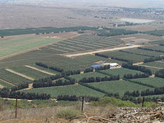 גבול ישראל סורי