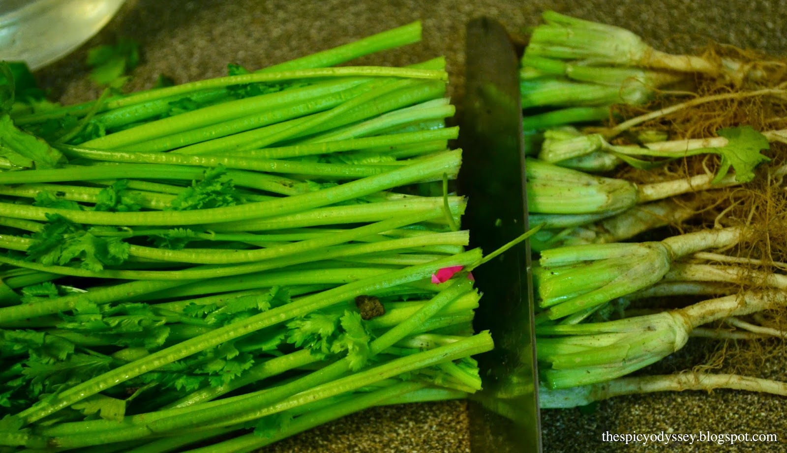 How to store Coriander/Cilantro fresh in the fridge for more than 2 weeks!