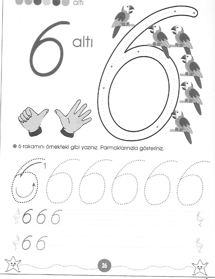 Anne Şefkati: Aralık 2011