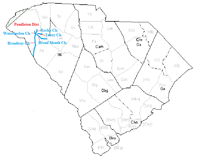 Benjamin Clements of Pendleton County, South Carolina Introduction