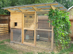 chicken build plans coop coops hen building simple designs chickens diy run easy backyard hens yard usen idea op plan