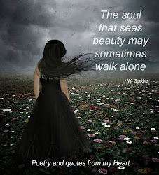 soul beauty sees alone sometimes walk quotes heart poetry goethe