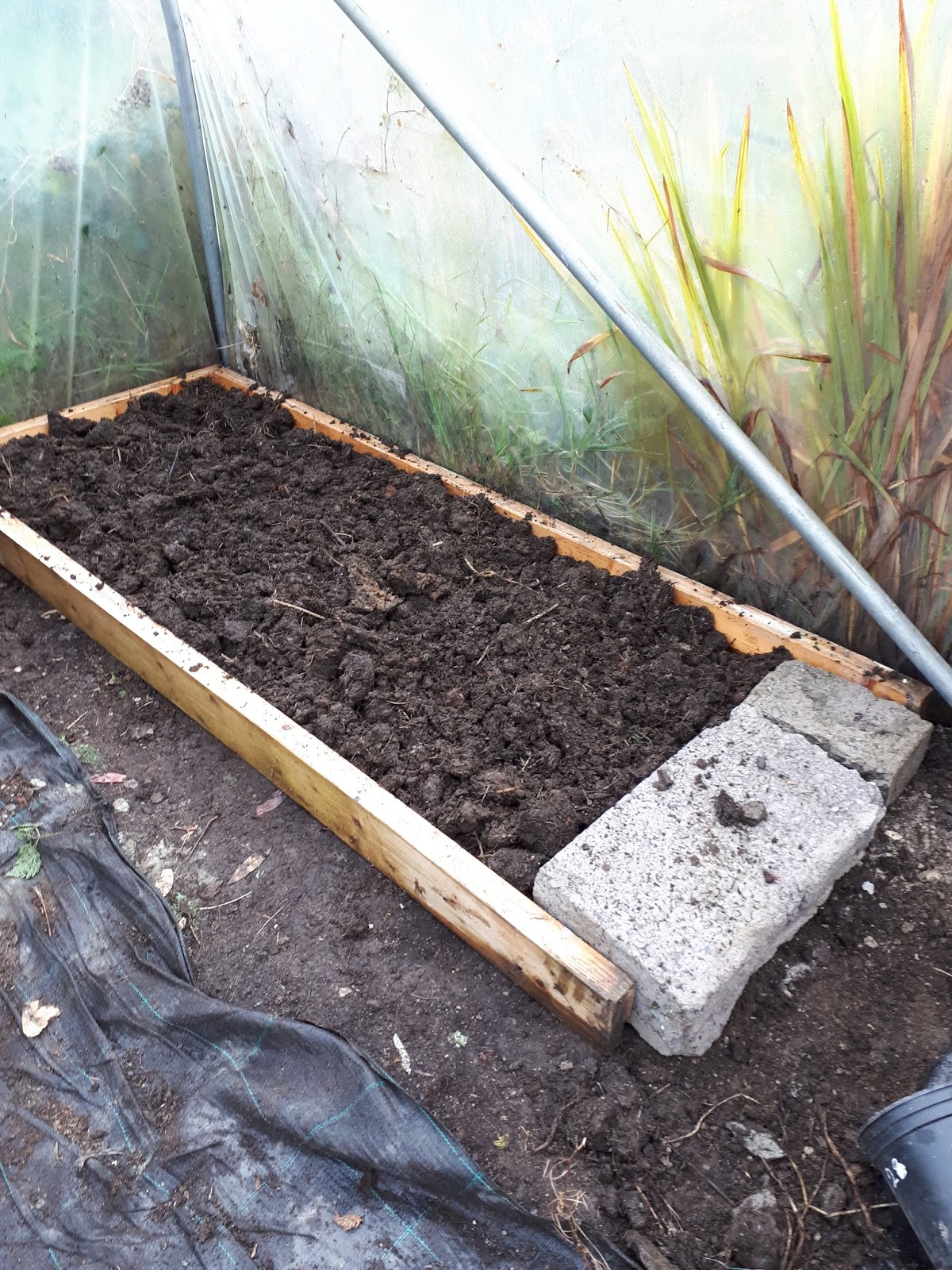 NORTHSIDER A Polytunnel Raised Bed Made For Absolutely Nothing.
