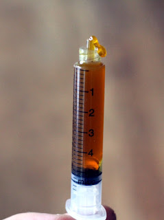 A closeup shot of the HopShot's gooey hop resins and alpha acids. A closeup shot of the HopShot's gooey hop resins and alpha acids.