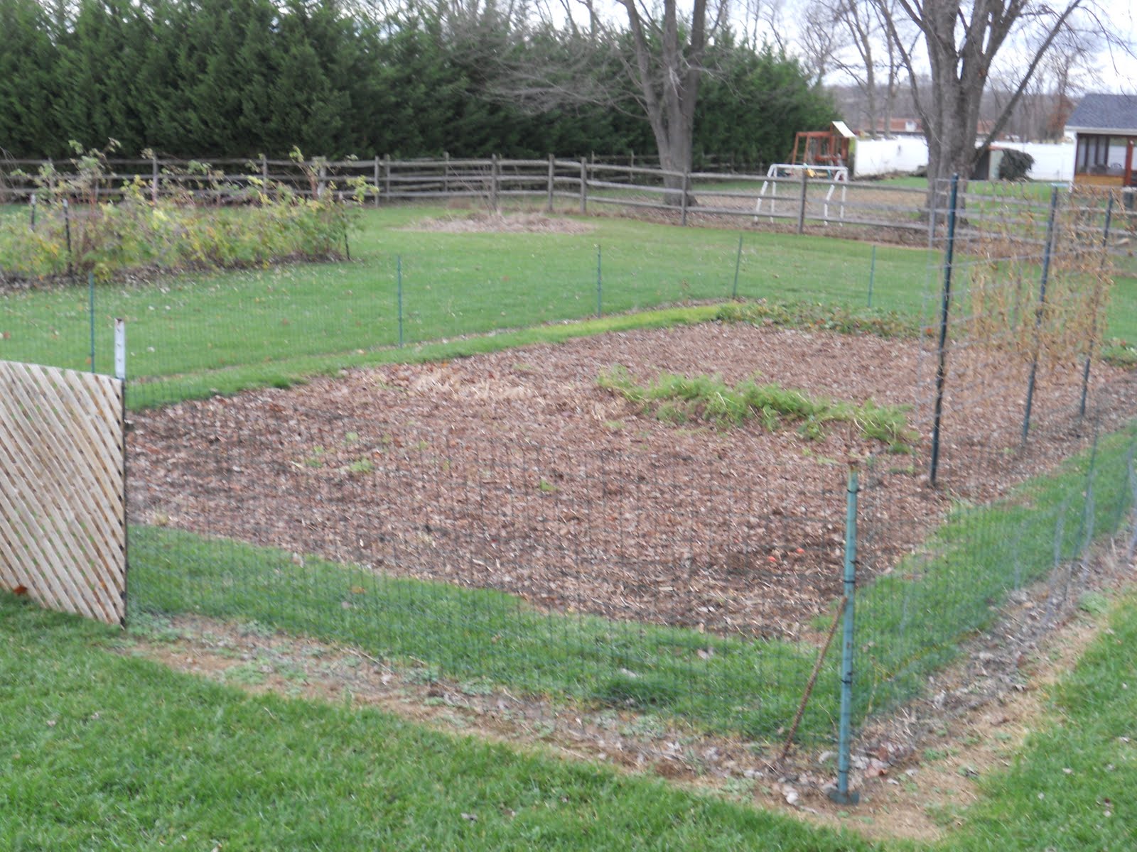 The Food Patch Nano farm Time For A Long Winter s Nap