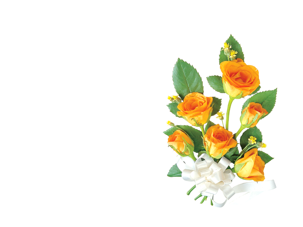photoshop.png frames wallpapers designs: flowers