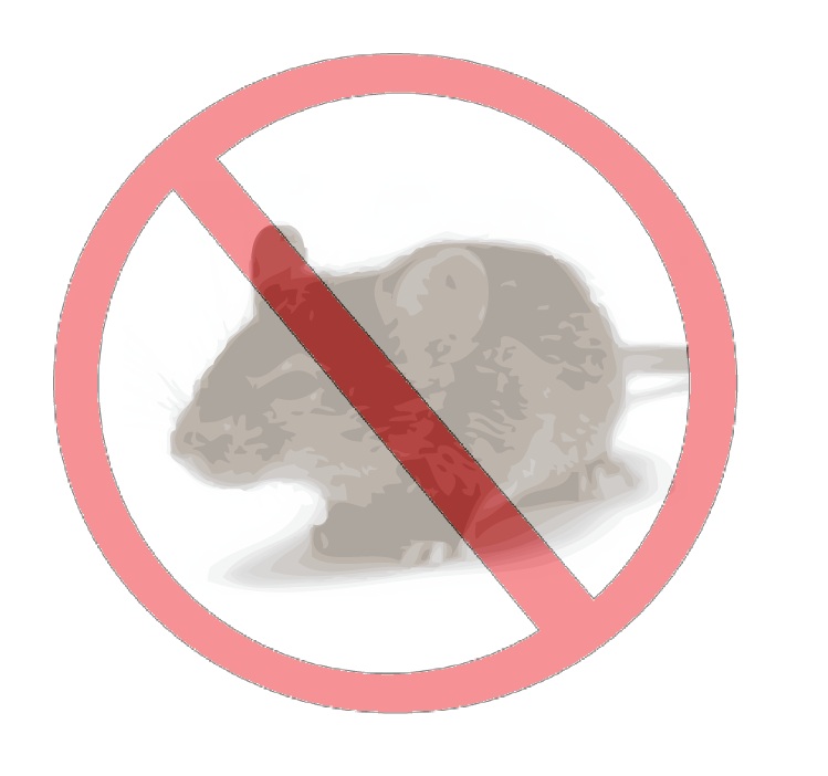 Sketch like there's no tomorrow... Assignment 2 Mission Pest Control