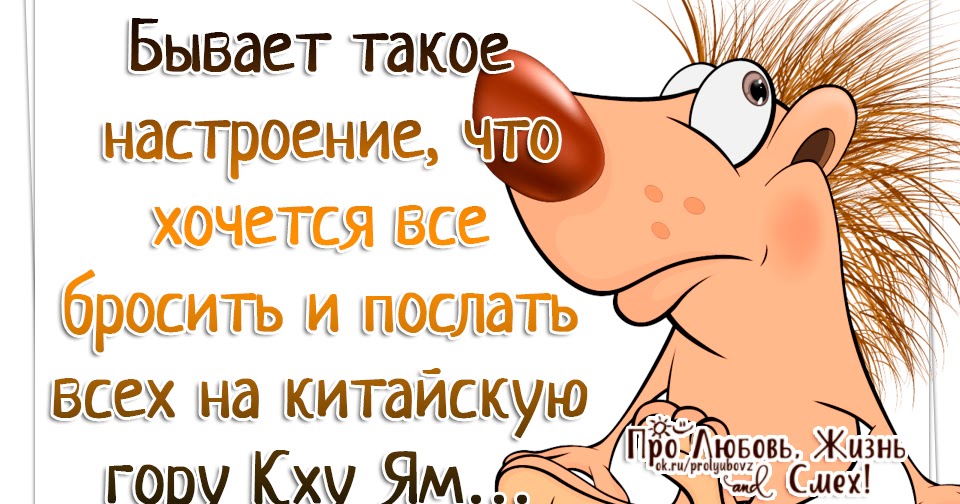 Я ложусь спать. Открытки с позитивными высказываниями. Открытки с добрым утром прикольные. Утро добрым не бывает. Веселее бывает.