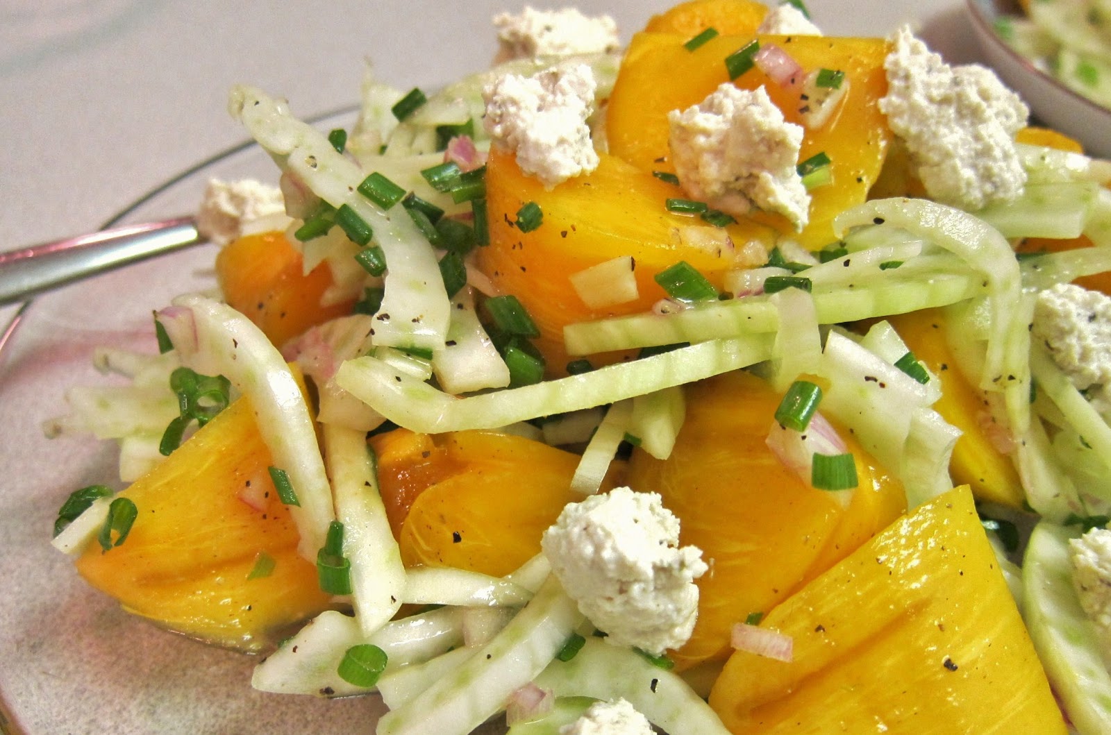 The Vegan Chronicle Persimmon and Fennel Salad