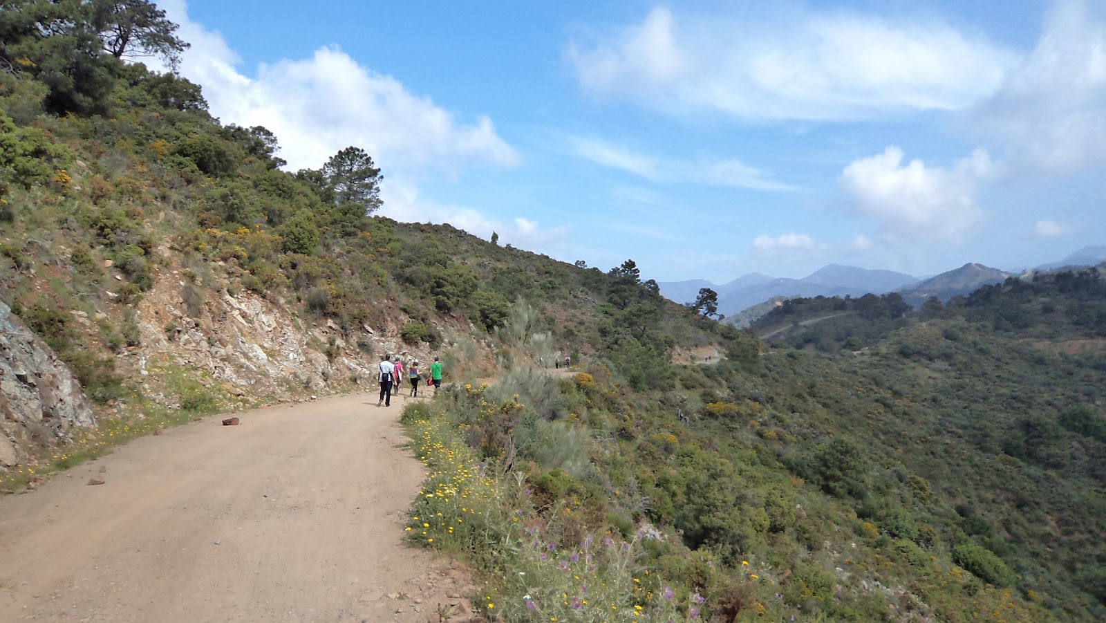 Itinerariun 2: Ruta : Castaño Santo de Istan ( Sierra de Istan )