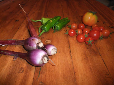 vegetables from my backyard garden, onion, pepper, cherry tomato