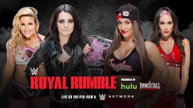 WWE - ROYAL RUMBLE 2015 - Paige & Natalya vs. The Bella Twins