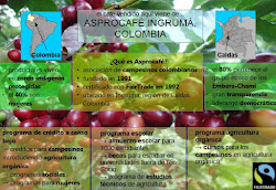 Bio - Café Colombia 100% Arábica