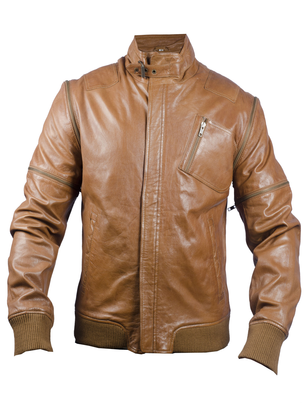 Mens Leather Jackets January 2013