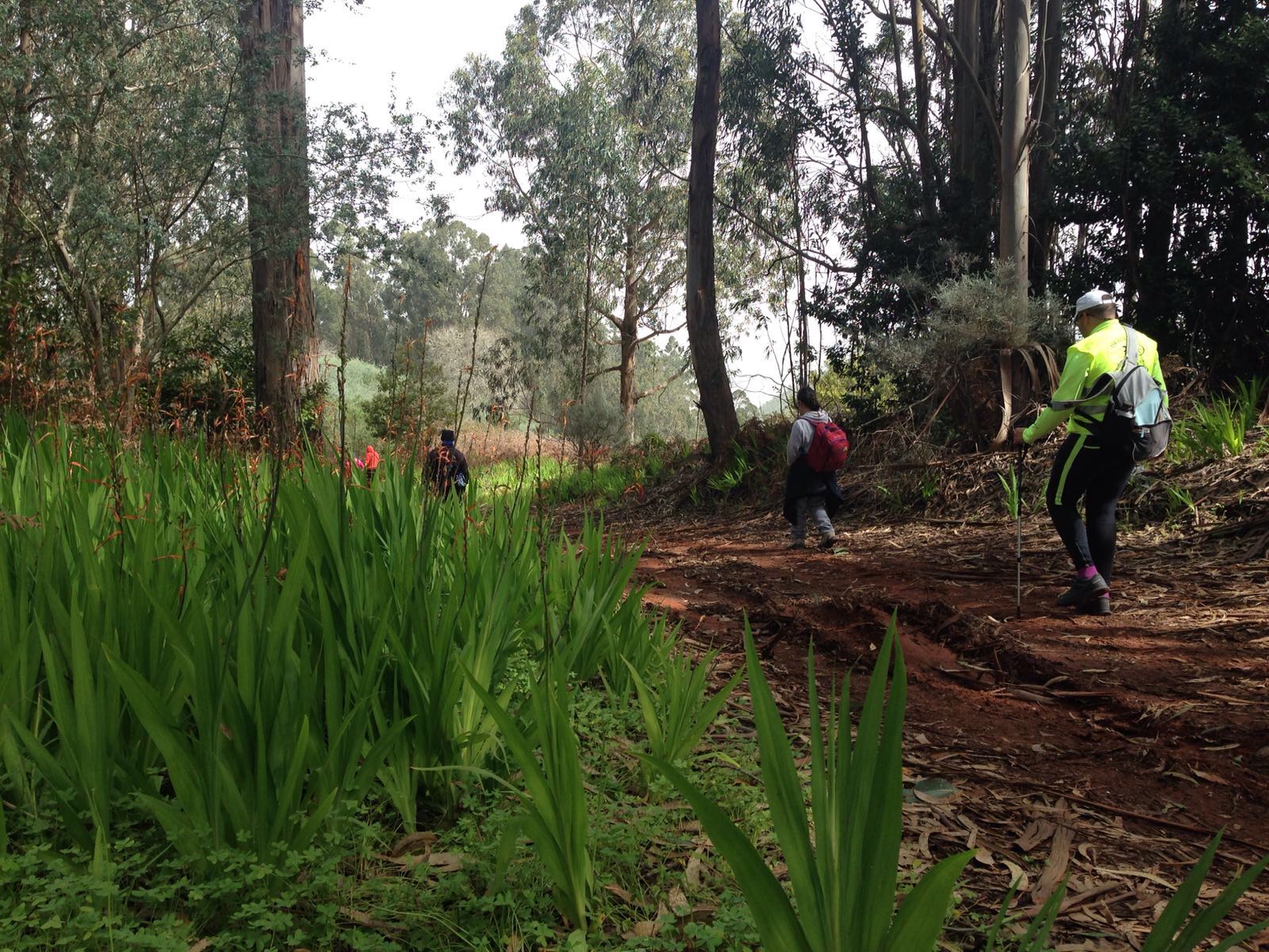 Senderismo Por Cueva Corcho Balcon De Zamora Valleseco Centro