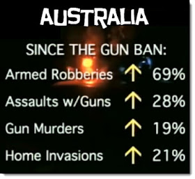 Australia Gun Ban Stats Chart